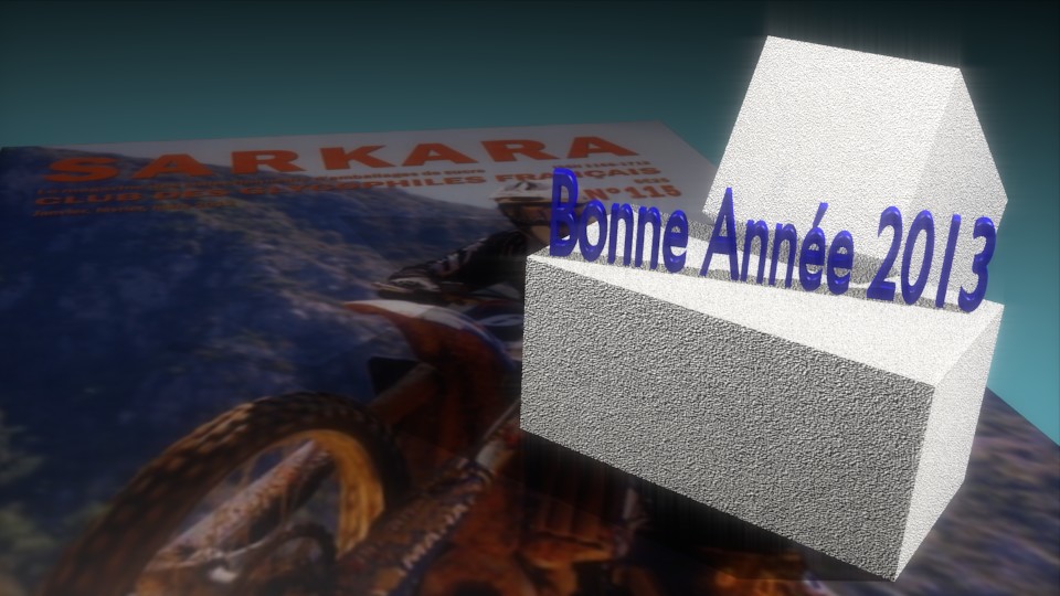 bonne_annee_2013_sarkara